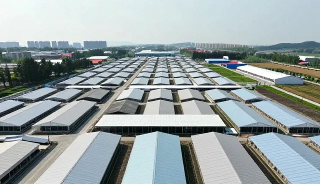 住宅装修中背景墙装饰的实用维护建议