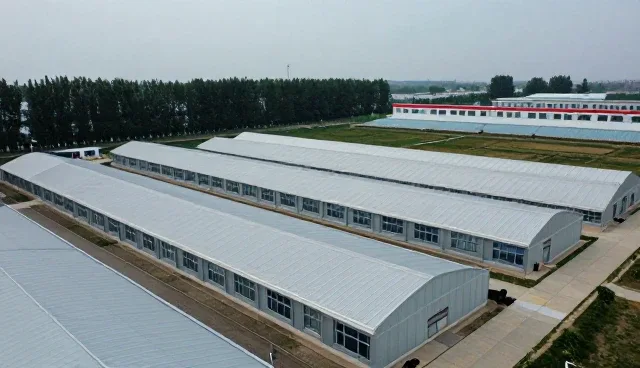 厨房空间优化设计中的整体橱柜应用实践